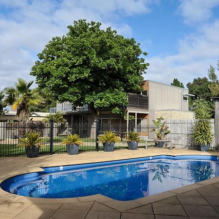 Barossa Valley Apartments Танунда Екстер'єр фото