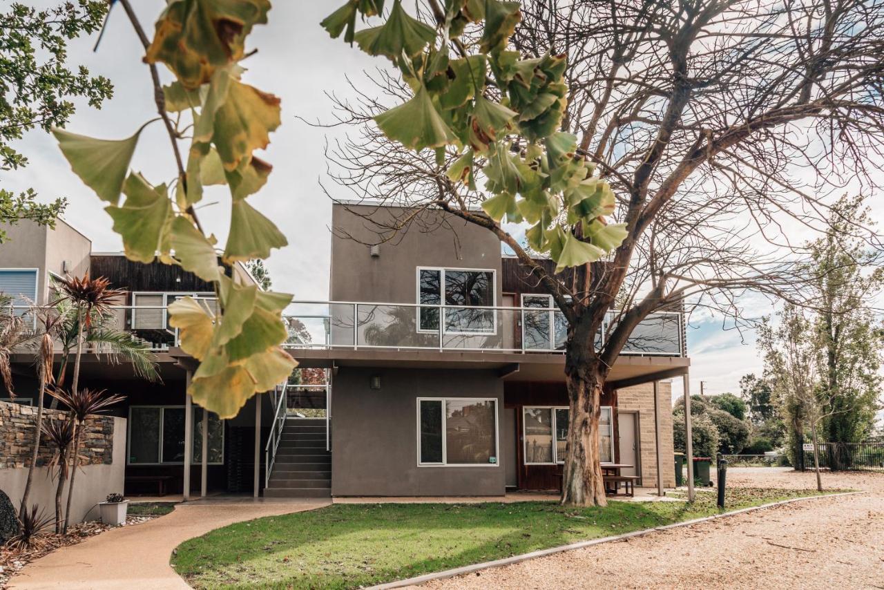 Barossa Valley Apartments Танунда Екстер'єр фото